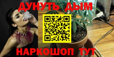 сатива Пушкино