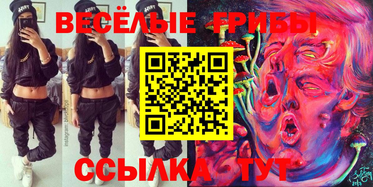 Орёл  Псилоцибиновые грибы мицелий  что такое наркотик  Псилоцибиновые грибы Psilocybe  Вход с VPN 