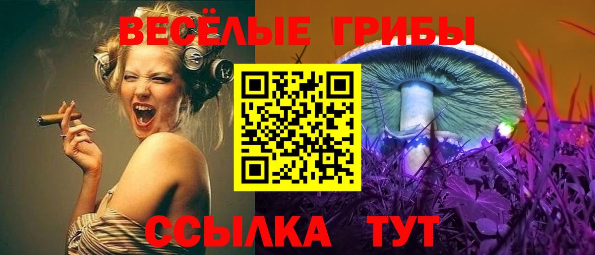 Галлюциногенные грибы GOLDEN TEACHER Орёл